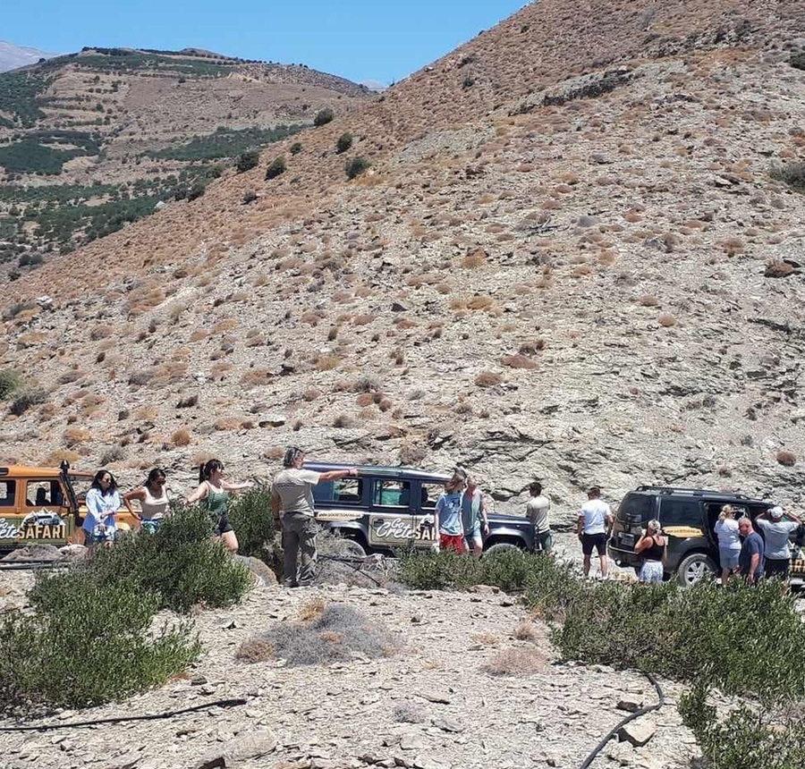 Go Crete Safari - Excursions d'une journée 