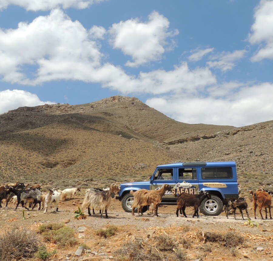 Go Crete Safari - Half Day Routes
